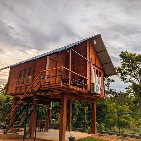 Lion Wood Treehouse Villa Talkote Exterior photo