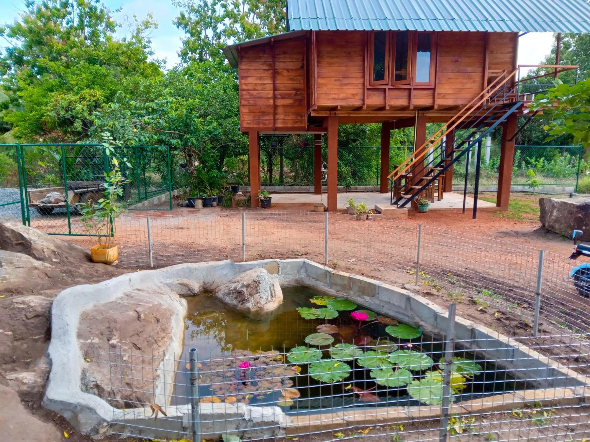 Lion Wood Treehouse Villa Talkote Exterior photo
